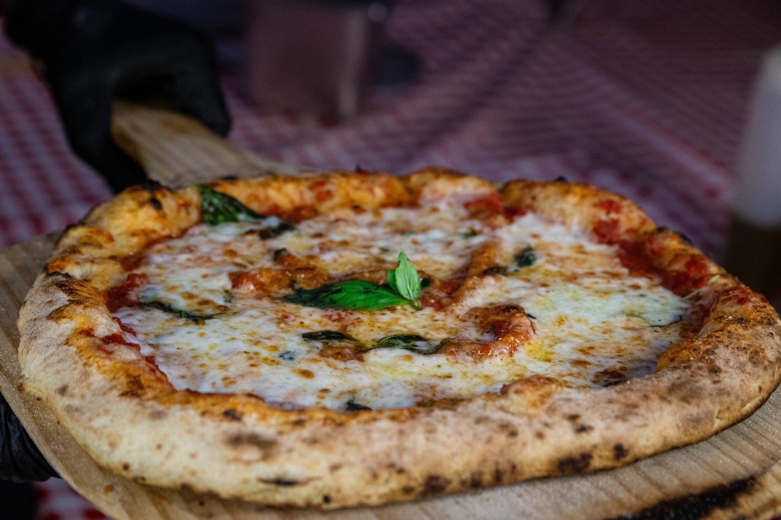 פיצה מרגריטה